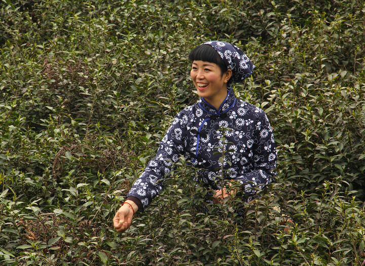 银色手枪